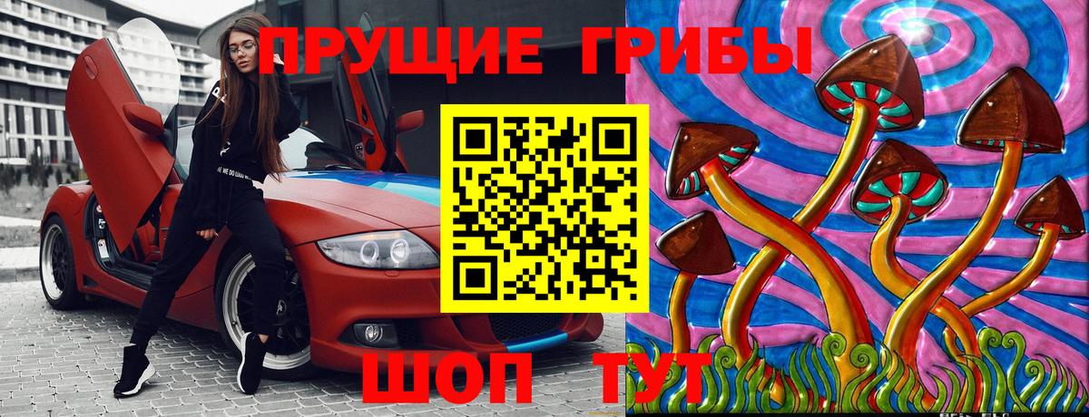 Галлюциногенные грибы Cubensis Зерноград