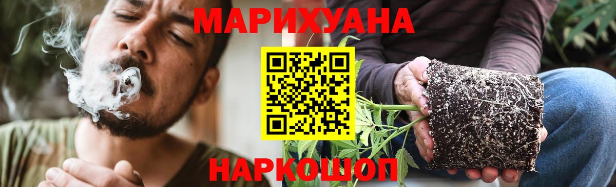 Канабис семена Зерноград
